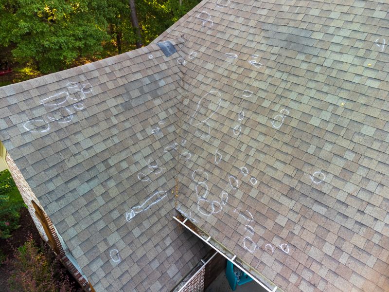 Asphalt Roof Inspection in Woodford, VA