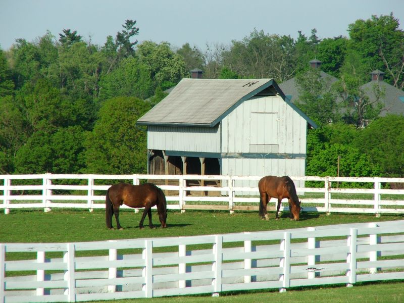 Barn Roof Construction in Caroline County, VA