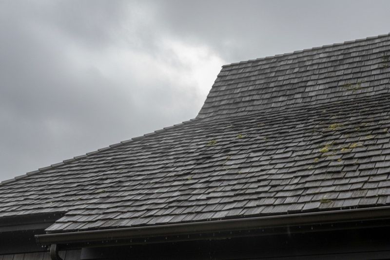Cedar Shingles Replacement in Spotsylvania, VA