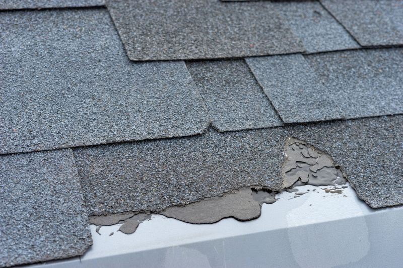 Damaged Roof Repair in Ashland, VA