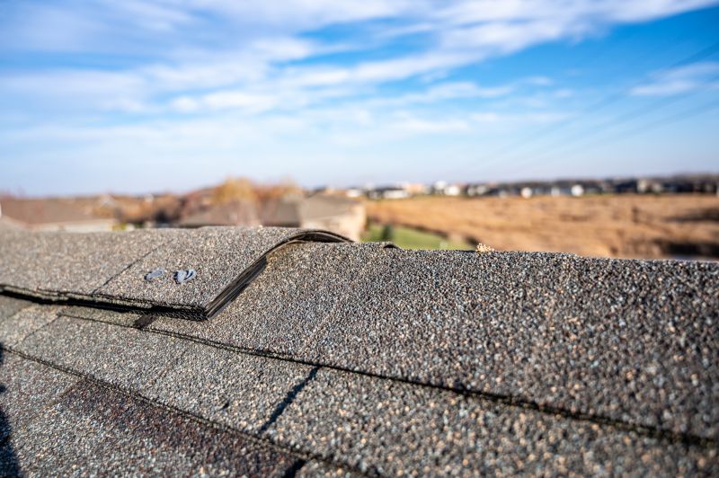 Damaged Roof Repair in Ruther Glen, VA