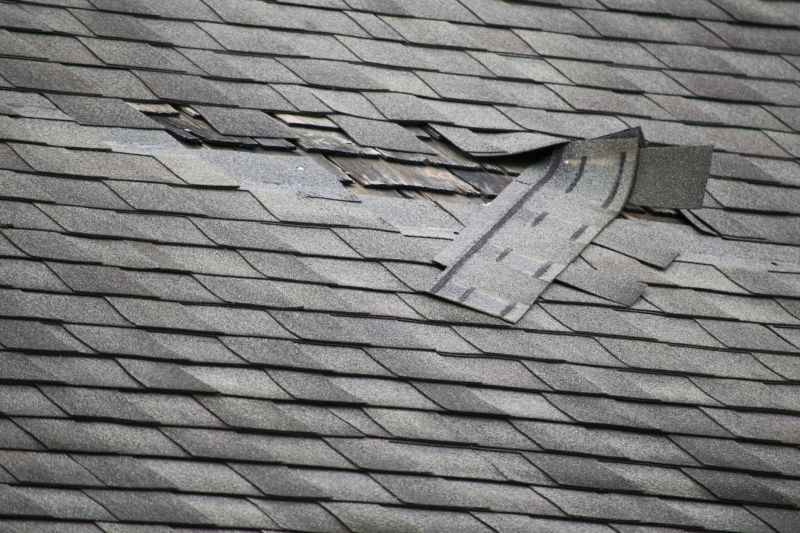 Fiberglass Shingles Repair in Caroline County, VA