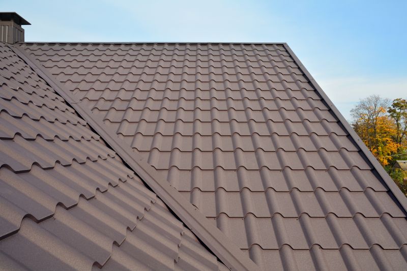Metal Roof Installation in Caroline County, VA