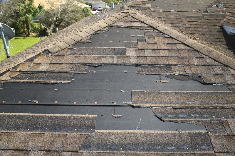 Roof Hail Damage Repair in Caroline County, VA
