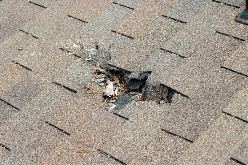 Shingles Replacement in Caroline County, VA