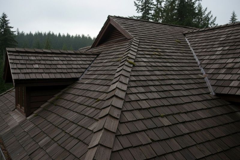 Wood Shake Roof Replacement in Spotsylvania County, VA
